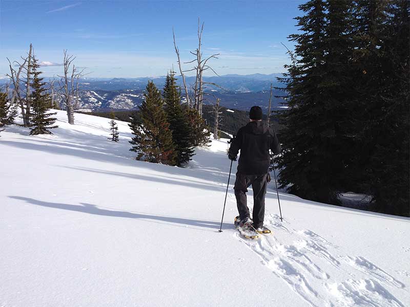 baldy-snowshoe
