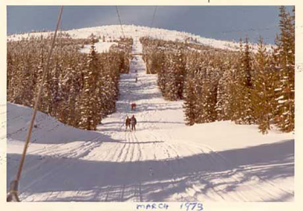 beginnings-of-baldy